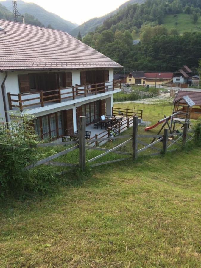 Pensiunea Valea Pinului Rau Sadului Exterior foto