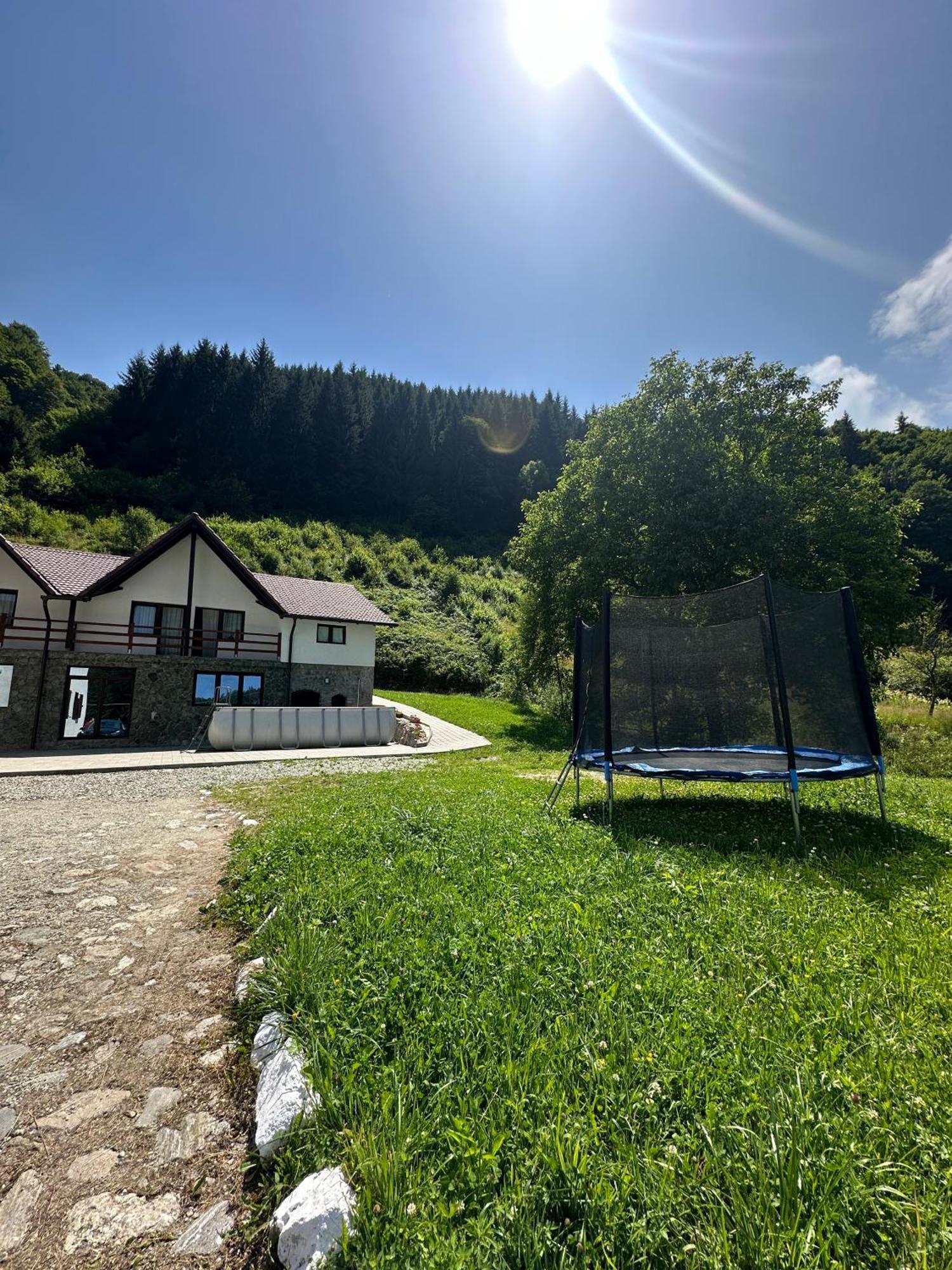 Pensiunea Valea Pinului Rau Sadului Exterior foto