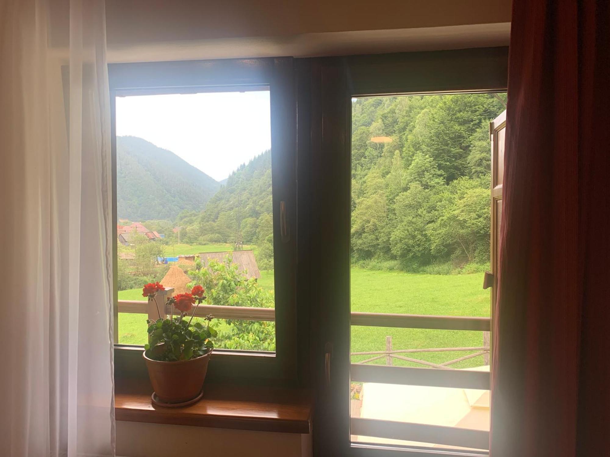 Pensiunea Valea Pinului Rau Sadului Exterior foto