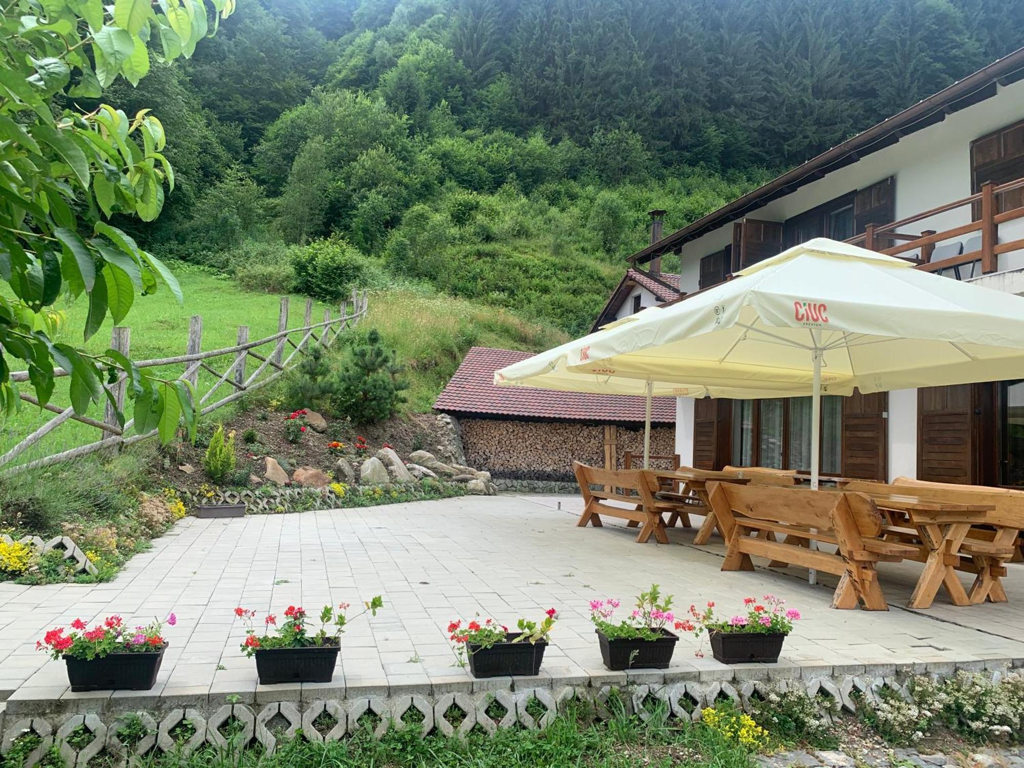 Pensiunea Valea Pinului Rau Sadului Exterior foto